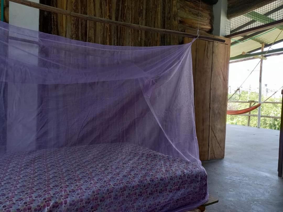 Casa Lily Flower Playa Dormida Ngoại thất bức ảnh